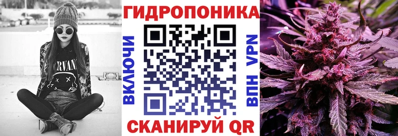 Купить закладку КОКАИН  Конопля  СК  Гашиш  АМФ  Меф мяу мяу  Хасавюрт