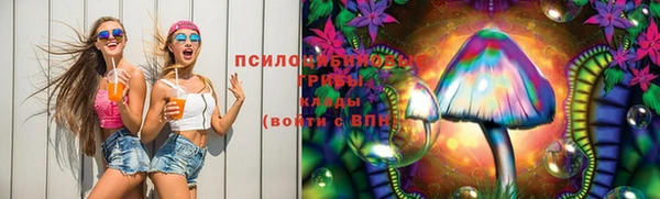 мяу мяу мука Волоколамск