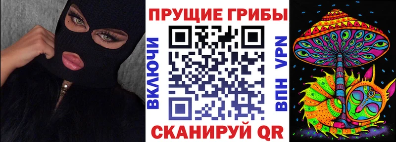Купить где  Хасавюрт  Псилоцибиновые грибы прущие грибы 
